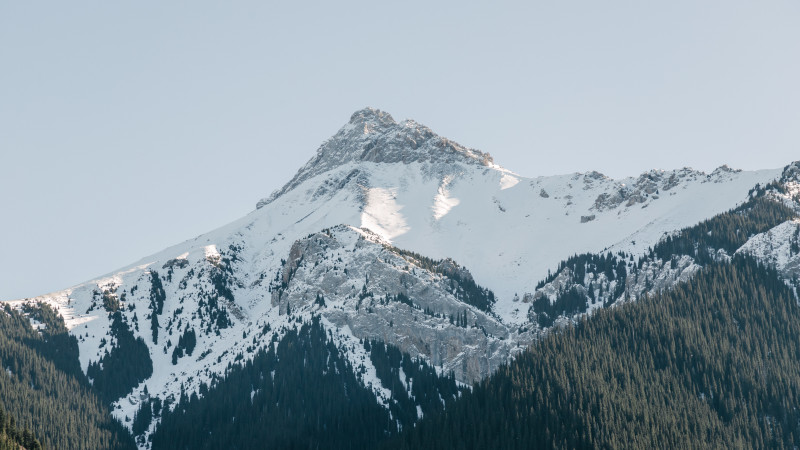 Фото ©️ Tengrinews.kz / Алихан Сариев