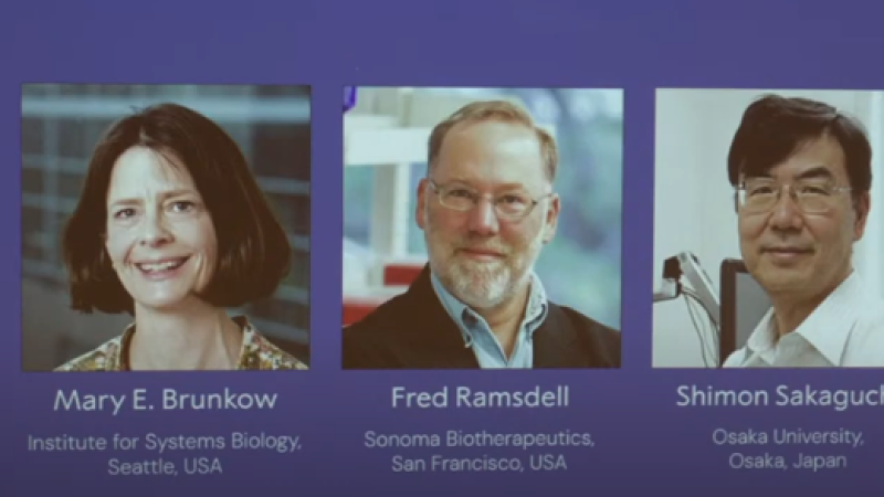 Кадр из видео: youtube.com/@NobelPrize