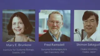 “Живет где-то лучшей жизнью“: Нобелевский комитет не может найти лауреата премии