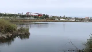 Тобол стремительно мелеет в Костанайской области - аграрии