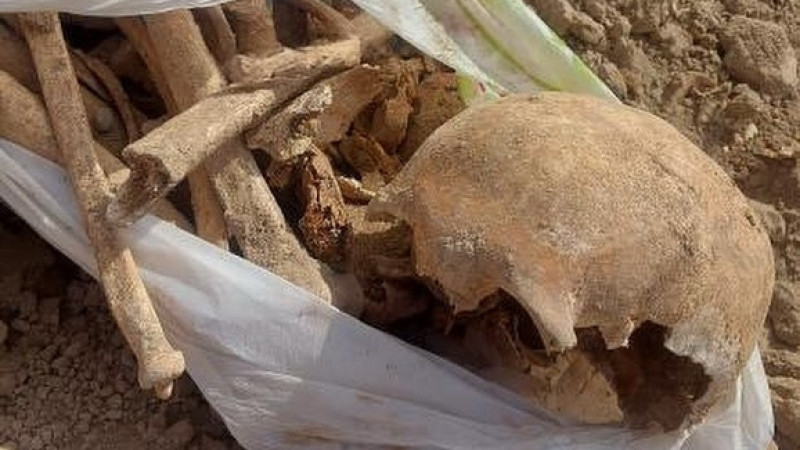 Фото: instagram.com/kritika_shymkent