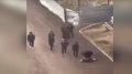 Заступился за девочку:  дело о драке школьников в Астане направили в суд