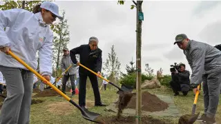 Токаев принял участие в экологической акции “Таза Қазақстан“