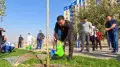 Аким Шымкента принял участие в посадке деревьев вместе с горожанами