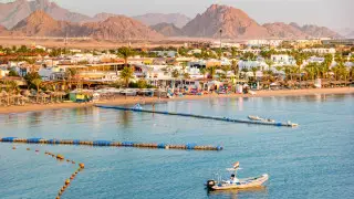 В Египте погибли сотрудники посольства Катара, готовившие переговоры по Газе