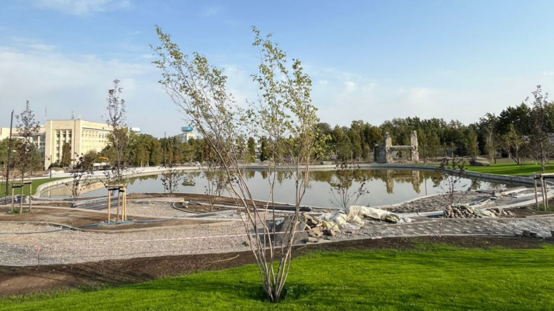 Фото: Данияр Еникеев