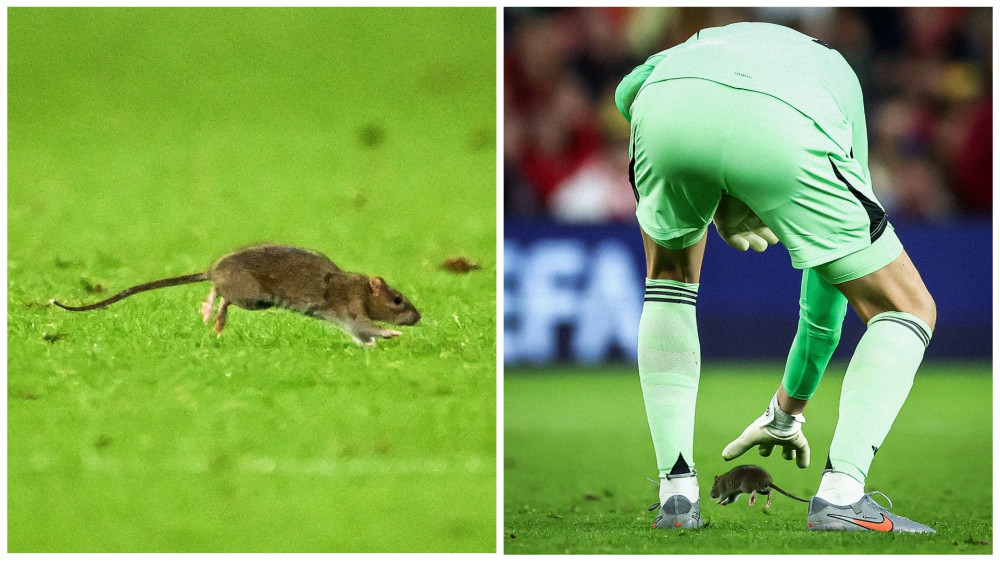 Фото: x.com/brfootball