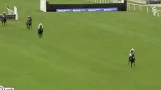 Трагедия на скачках: лидер забега получил смертельную травму на последних метрах