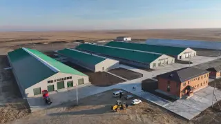 Инвестиции в молочную отрасль: Костанайская область укрепляет аграрную экономику