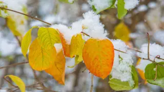 Туман и заморозки до - 6: синоптики объявили штормовые предупреждения в регионах