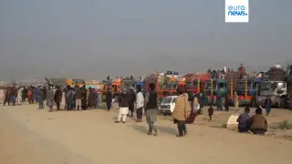 20 европейских стран потребовали срочных мер по депортации афганцев