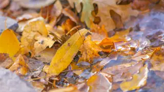 Тепло, сухо, ветрено: какой будет погода в Казахстане 20 октября