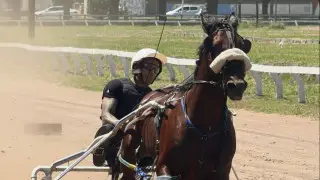 Экс-чемпион UFC выиграл турнир по конным скачкам