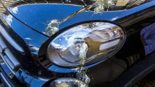 Названы марки и цвета машин, на которые чаще всего “нацеливаются“ птицы