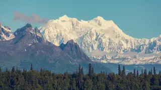 США откроет нетронутый заповедник на Аляске для нефтегазовой добычи