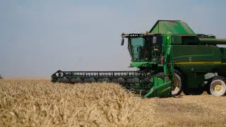 Акимат Акмолинской области: собраны рекордные 7,6 миллиона тонн зерна