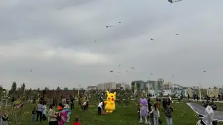 Фестиваль воздушных змеев прошел в Шымкенте
