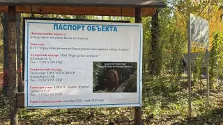 BAZIS-A прокомментировала информацию о “возможной“ застройке рощи Баума