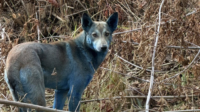 Кадры из видео