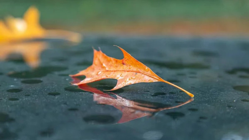 Фото:depositphotos.com