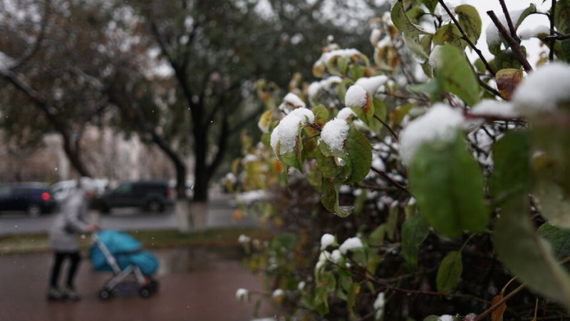 Фото ©️ Tengrinews.kz / Турар Казангапов