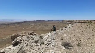 “Самого бесстрашного млекопитающего в мире“ засняли в Устюртском заповеднике