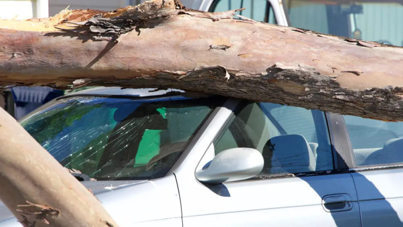 Фото:depositphotos.com