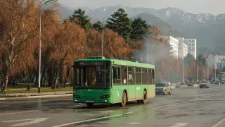 Автобусы без катализаторов загрязняют Алматы: перевозчик ответил на обвинения