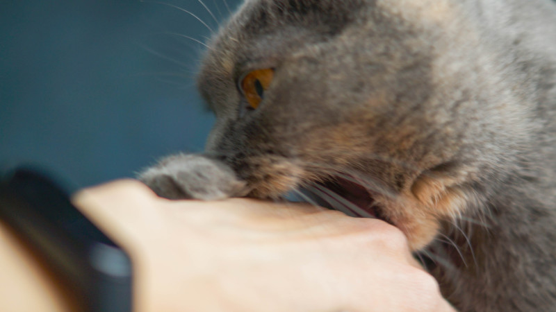 Фото:depositphotos.com