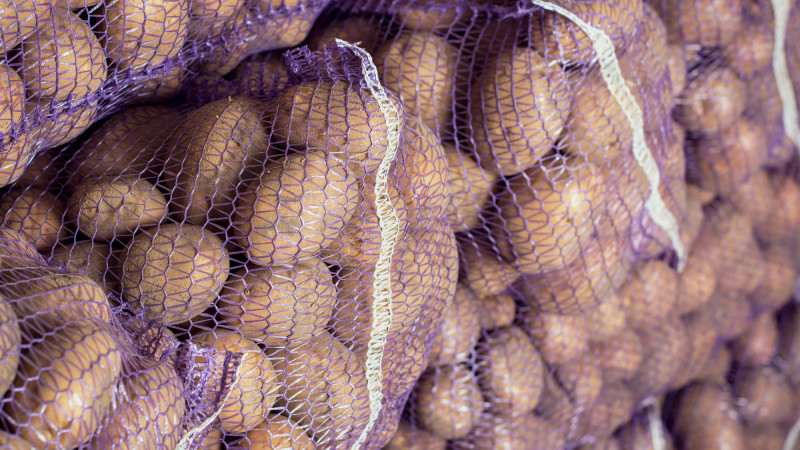 Фото:depositphotos.com