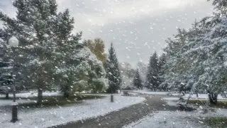 Снежная буря и гололёд накроют Казахстан: прогноз по городам на воскресенье