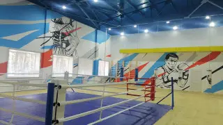 Как в Акмолинской области развивают массовый и инклюзивный спорт