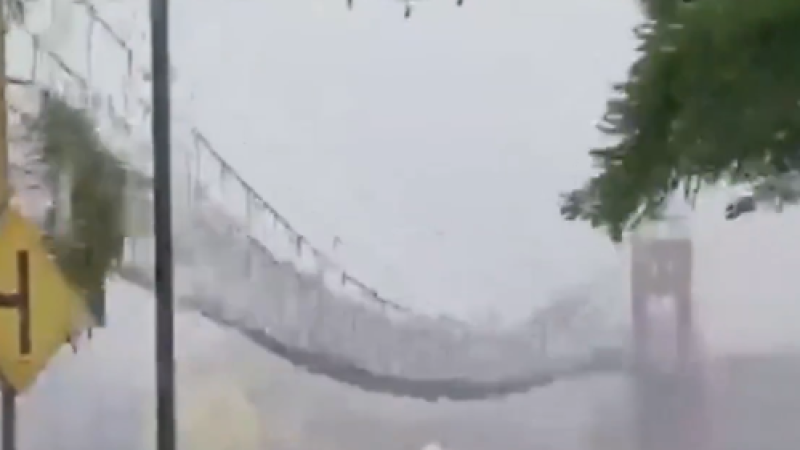 Кадр из видео: x.com