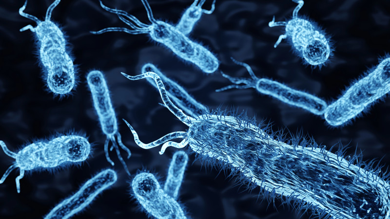 Фото:depositphotos.com