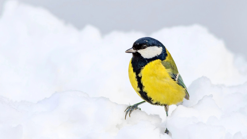 Фото:depositphotos.com