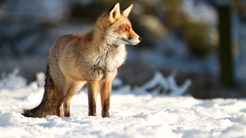 Фото:depositphotos.com