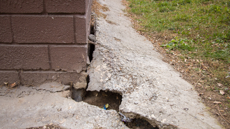 Фото: ©️ Tengrinews.kz / Никита Данилин