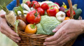 Токаев призвал продвигать в мире бренд Qazaq Organicfood