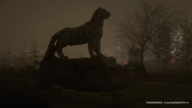 Фото ©️ Tengrinews.kz / Турар Казангапов