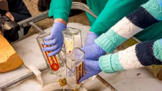 Британский МИД обновил список стран, где можно отравиться алкоголем