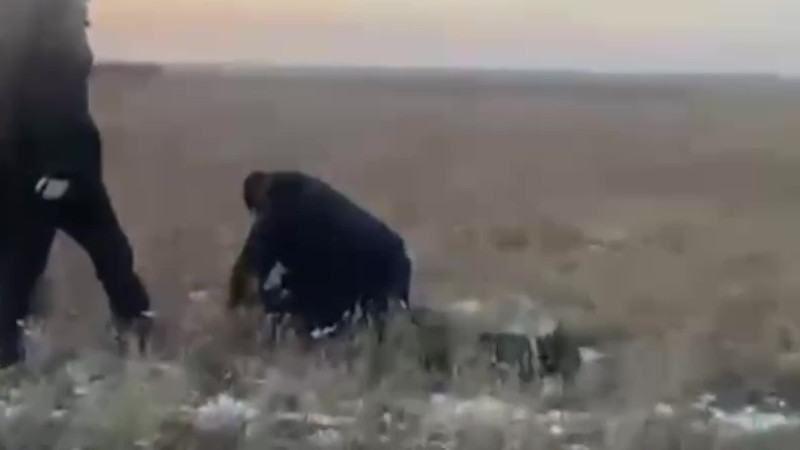 Кадр из видео