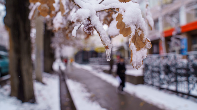 Фото: ©Tengrinews.kz/Болат Айтмолда
