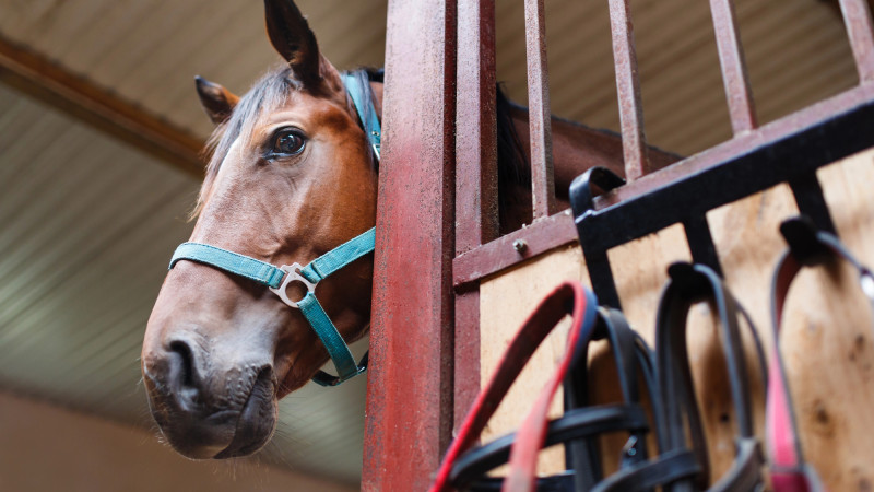 Фото:depositphotos.com