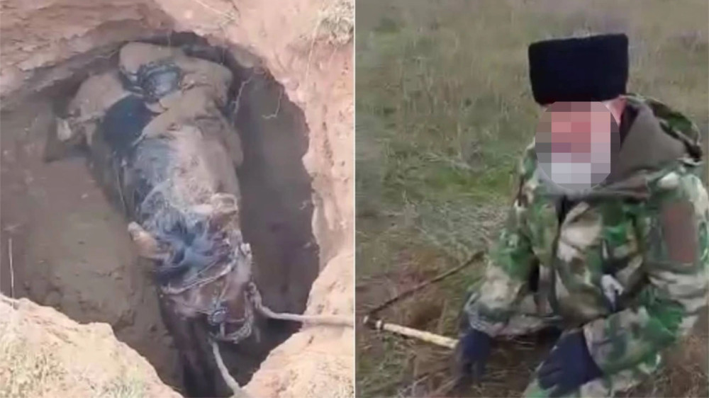 Склеп времён Золотой орды повредили в Астраханской области