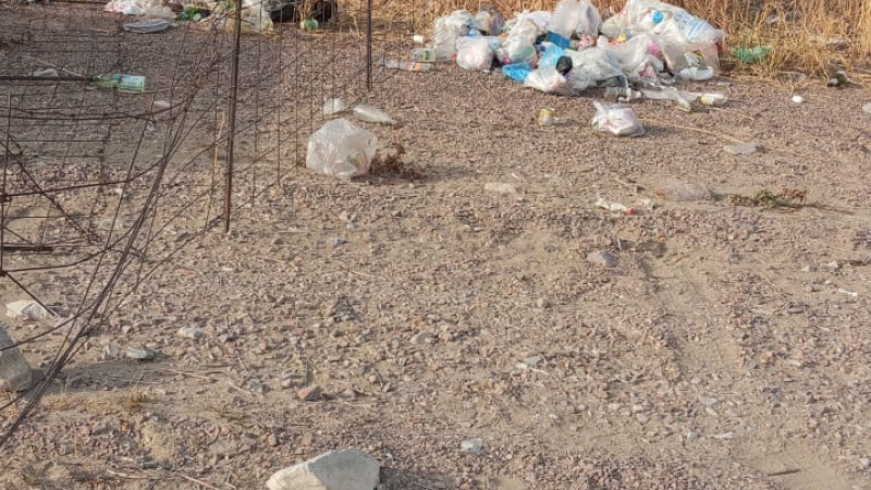 Фото от читателя Tengrinews.kz