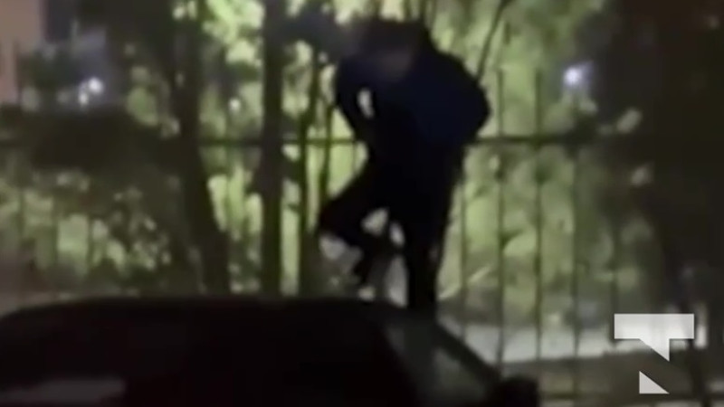 Кадр из видео