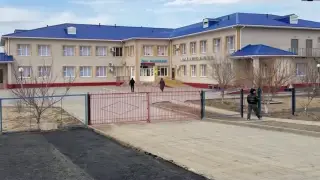 Школы и детские сады закрыли из-за мышей в двух сёлах Атырауской области