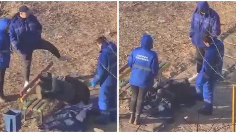 Кадры из видео