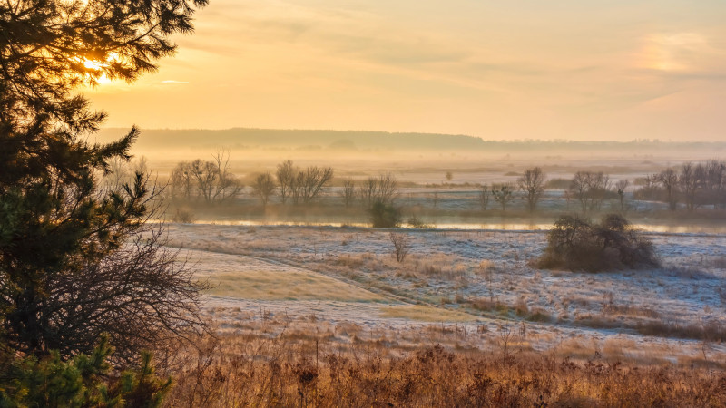 Фото:depositphotos.com