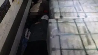 “Живые стройматериалы“ нашли сотрудники КНБ в фуре на границе